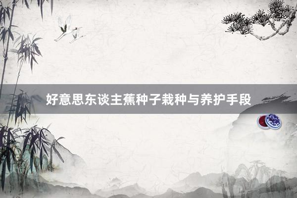 好意思东谈主蕉种子栽种与养护手段