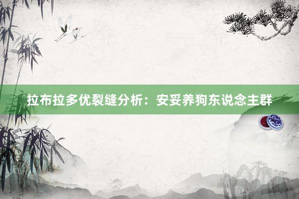 拉布拉多优裂缝分析：安妥养狗东说念主群